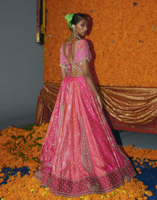 Panelled hot pink banarsi lehenga set