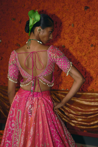 Panelled hot pink banarsi lehenga set