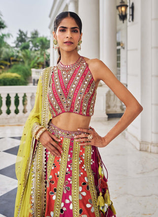 Prakash e ullas multicolor lehenga set