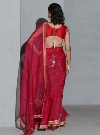 Rishi & Vibhuti-Crimson Red Lush Sari Set-INDIASPOPUP.COM