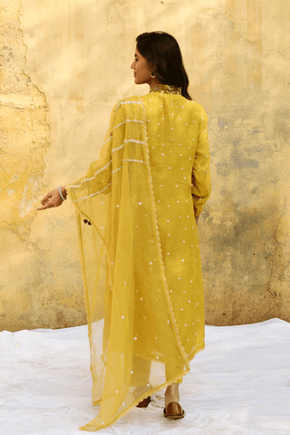 Niti Bothra-Yellow Orchid Kurta And Pants-INDIASPOPUP.COM