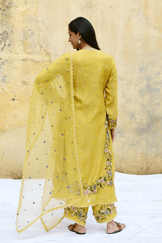 Niti Bothra-Yellow Orchid Heavy Long Kurta Set-INDIASPOPUP.COM