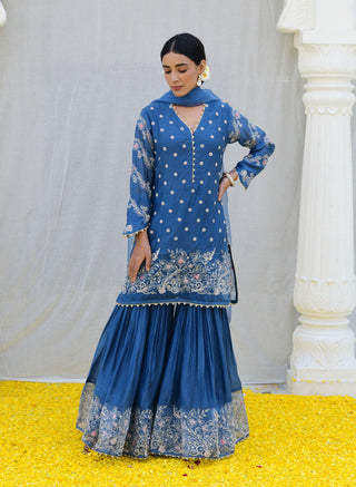 Niti Bothra-Jean Blue Reef Sharara Set-INDIASPOPUP.COM