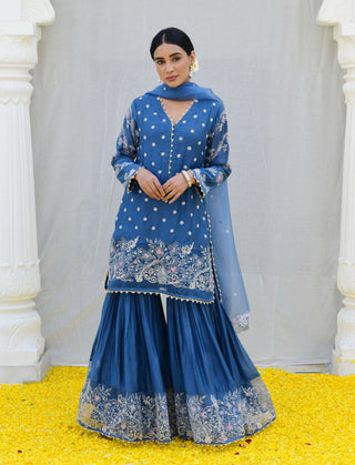 Niti Bothra-Jean Blue Reef Sharara Set-INDIASPOPUP.COM