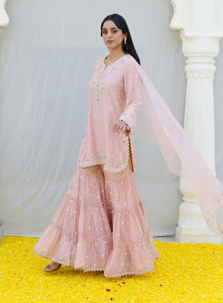 Niti Bothra-Pink Reef Embroidered Sharara Set-INDIASPOPUP.COM