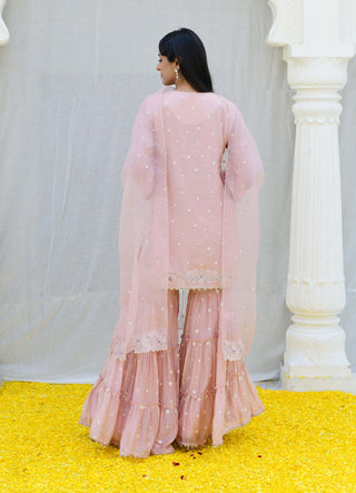 Niti Bothra-Pink Reef Embroidered Sharara Set-INDIASPOPUP.COM