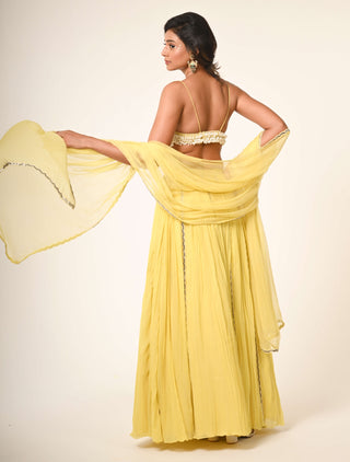 Yellow light gathered skirt set