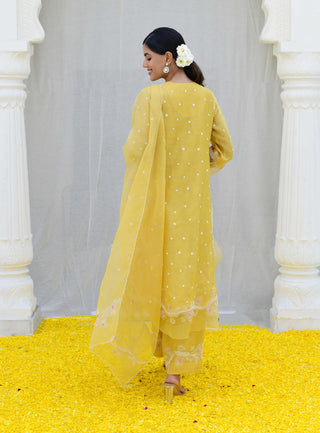 Niti Bothra-Yellow Reef Long Kurta Set-INDIASPOPUP.COM