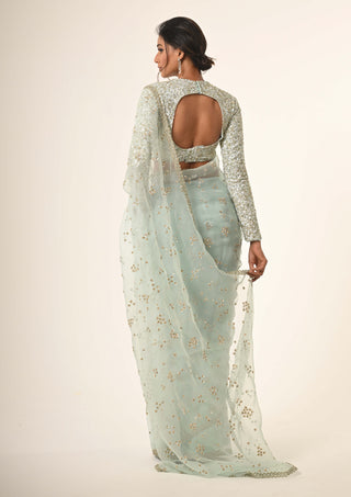 Powder blue embroidered organza sari and blouse