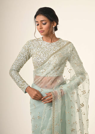 Powder blue embroidered organza sari and blouse
