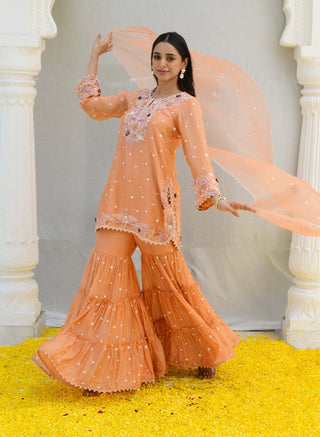 Niti Bothra-Peach Reef Embroidered Sharara Set-INDIASPOPUP.COM