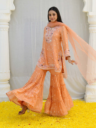 Niti Bothra-Peach Reef Embroidered Sharara Set-INDIASPOPUP.COM