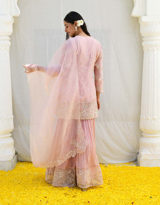 Niti Bothra-Pink Reef Sharara Set-INDIASPOPUP.COM