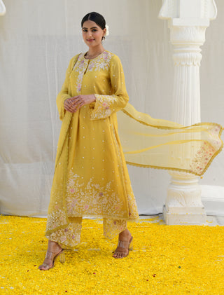 Niti Bothra-Yellow Heavy Long Kurta Set-INDIASPOPUP.COM