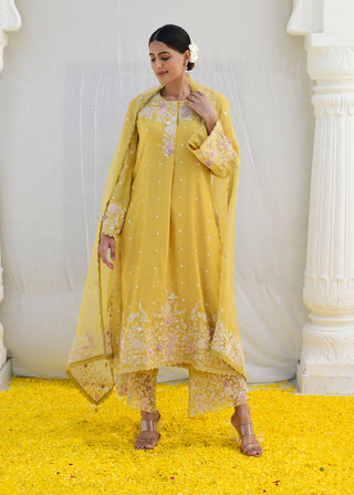 Niti Bothra-Yellow Heavy Long Kurta Set-INDIASPOPUP.COM