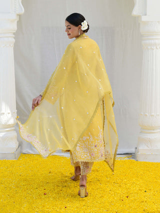 Niti Bothra-Yellow Heavy Long Kurta Set-INDIASPOPUP.COM