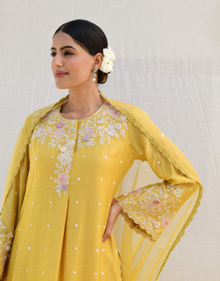 Niti Bothra-Yellow Heavy Long Kurta Set-INDIASPOPUP.COM