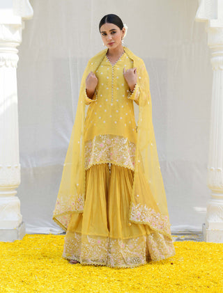 Niti Bothra-Yellow Reef Sharara Set-INDIASPOPUP.COM