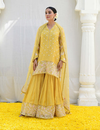 Niti Bothra-Yellow Reef Sharara Set-INDIASPOPUP.COM