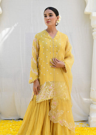 Niti Bothra-Yellow Reef Sharara Set-INDIASPOPUP.COM