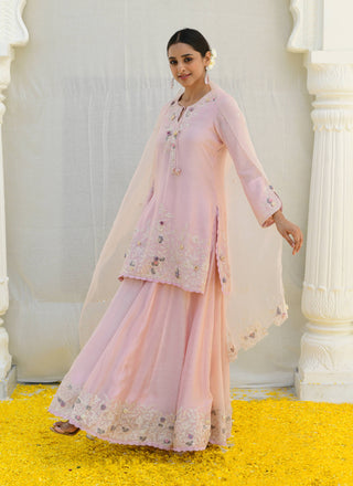 Niti Bothra-Pink Heavy Ivory Sharara Set-INDIASPOPUP.COM