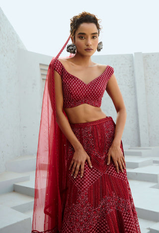 Gemini deep red lehenga set