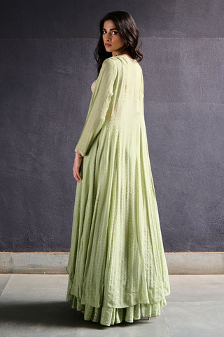 Mysa Olive Green Sharara Jacket Set by Chamee And Palak, available on Indiaspopup.com