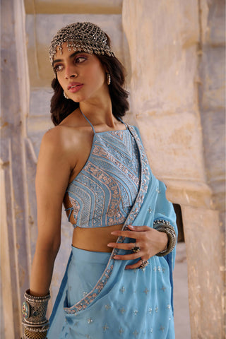 Chamee And Palak-Hazel Blue Zardozi Sari Set-INDIASPOPUP.COM