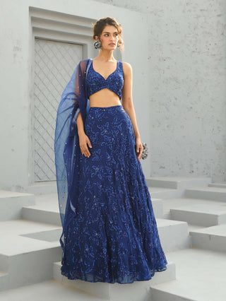 Blue serena lehenga set