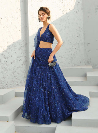 Blue serena lehenga set