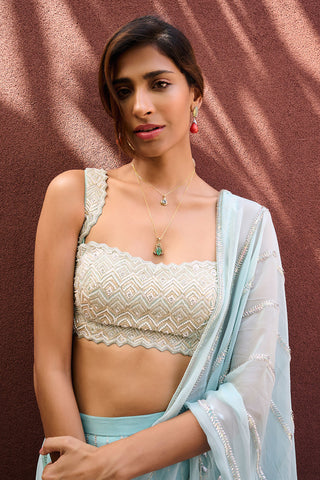 Ines Dusty Blue Green Sari And Blouse by Chamee And Palak, available on Indiaspopup.com