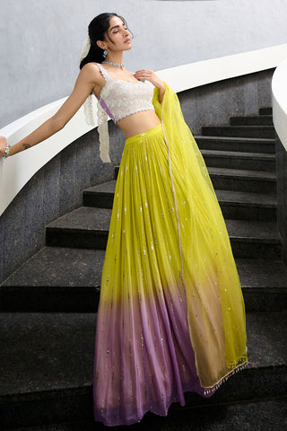 Elaya Lime Green And Lavender Lehenga Set by Chamee And Palak, available on Indiaspopup.com