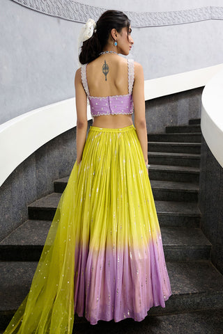 Elaya Lime Green And Lavender Lehenga Set by Chamee And Palak, available on Indiaspopup.com