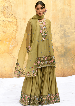 Niti Bothra-Olive Green Orchid Sharara Set-INDIASPOPUP.COM