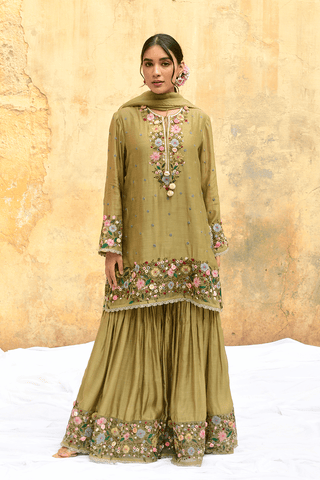 Niti Bothra-Olive Green Orchid Sharara Set-INDIASPOPUP.COM