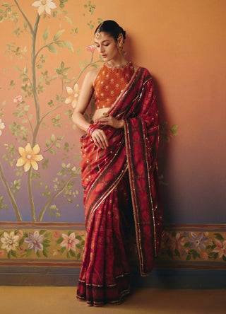 Meher rust printed sari with blouse