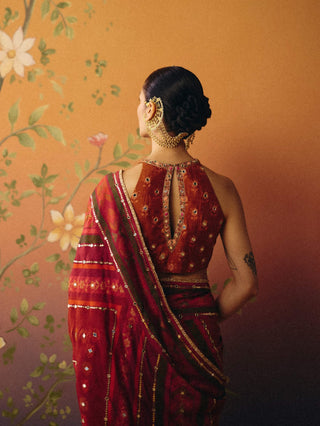 Meher rust printed sari with blouse