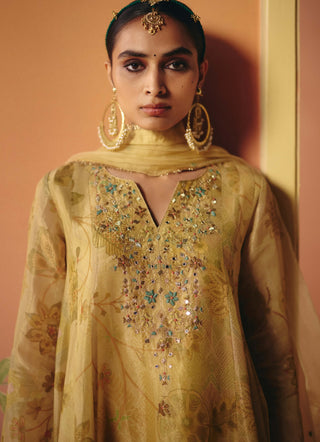 Reet ivory farshi tunic set