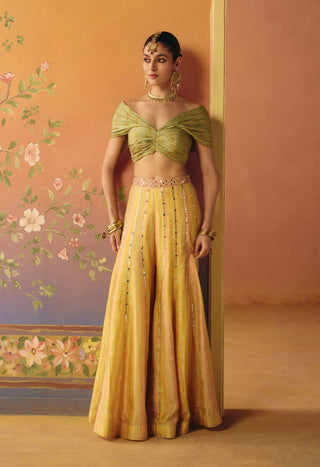 Noor blush sharara and blouse