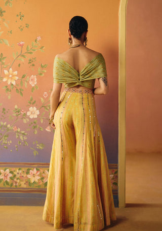 Noor blush sharara and blouse