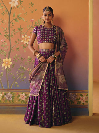 Saanjh purple lehenga set