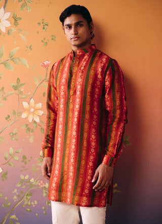 Meher multicolor kurta with pants
