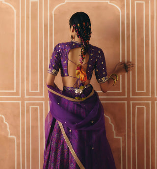 Imperial violet panel lehenga set