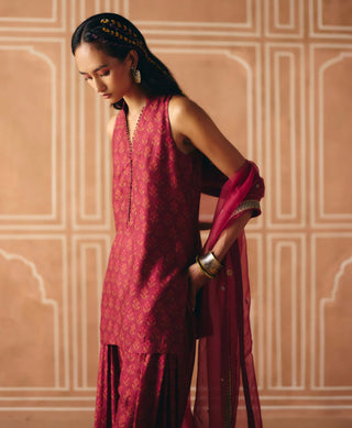 Berry plum farshi salwar kurta set