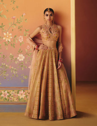 Noor blush lehenga set
