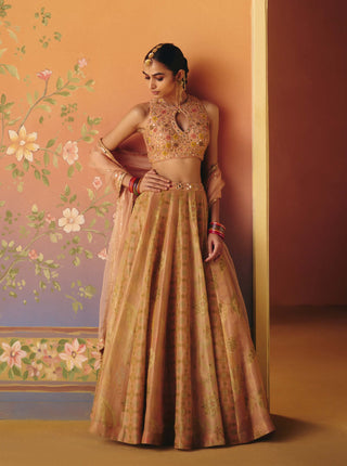 Noor blush lehenga set