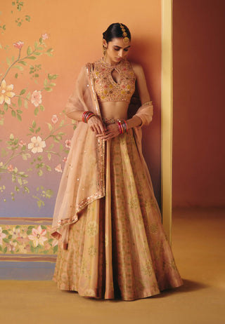 Noor blush lehenga set