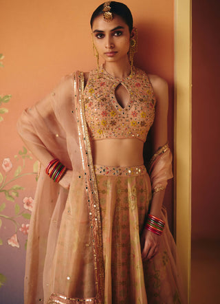Noor blush lehenga set