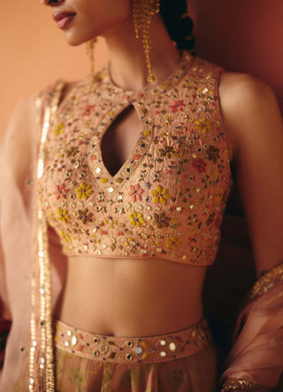 Noor blush lehenga set