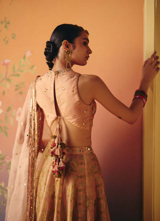 Noor blush lehenga set